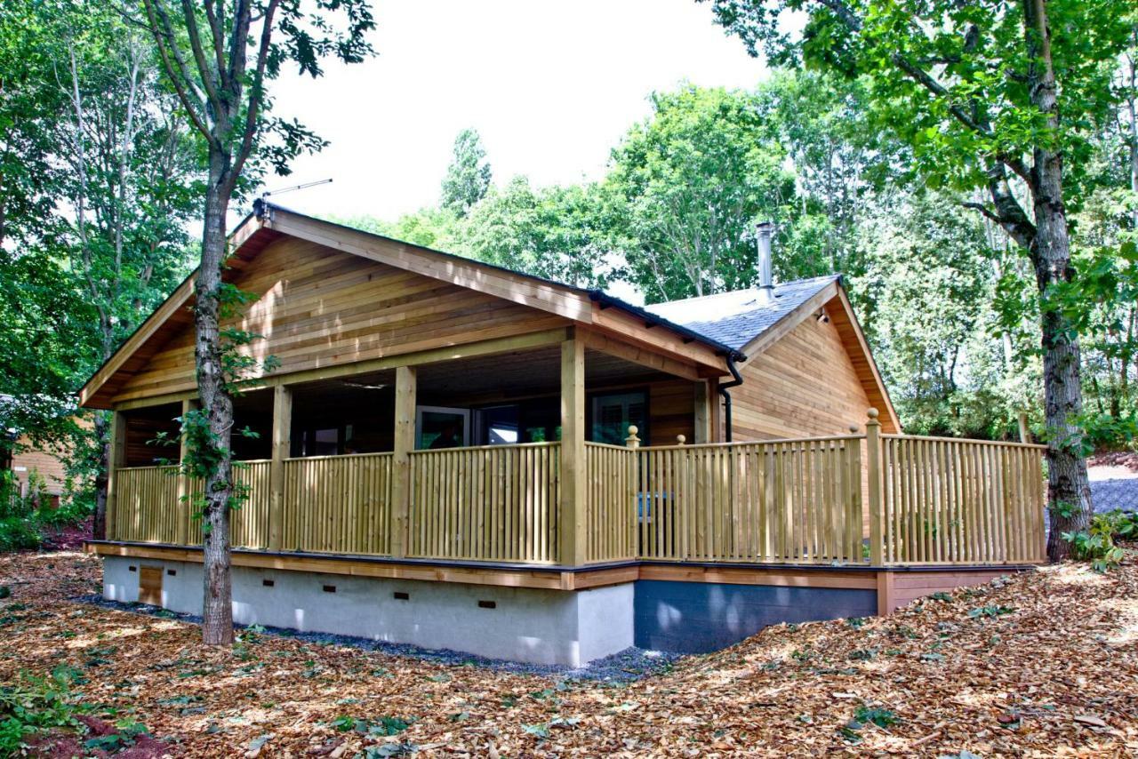 Cedar Lodge, South View Lodges, Эксетер Экстерьер фото